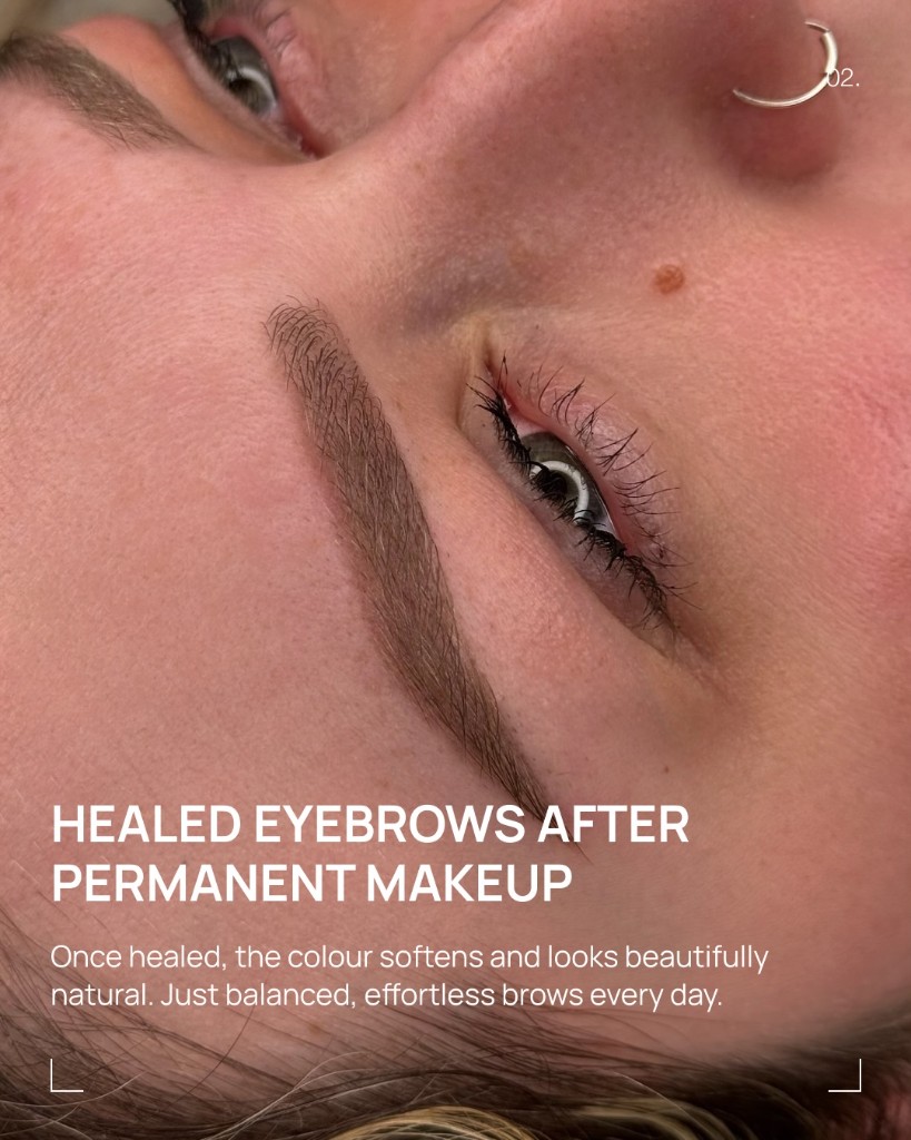 Healed powder brows after permanent makeup — soft natural finish